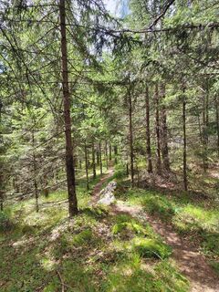 Photo de ReginaSt le long du parcours
