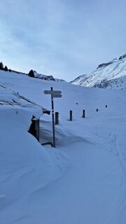 Foto da Aga M lungo il tour