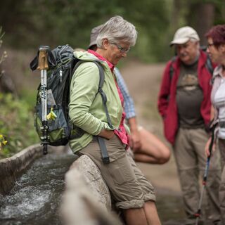 Wanderer auf der Lötschberger Südrampe