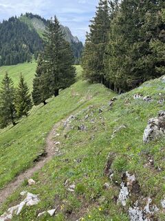 Foto von Andreas Stopperich entlang der Tour