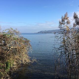 Blick nach Steckborn