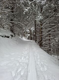Photo de Magnus Moser le long du parcours
