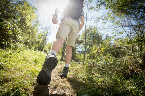 Auf dem Frohn-Wald-Weg