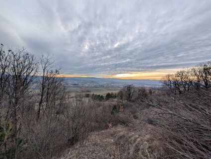 Fotografija s spletne strani Weggefährtin na poti
