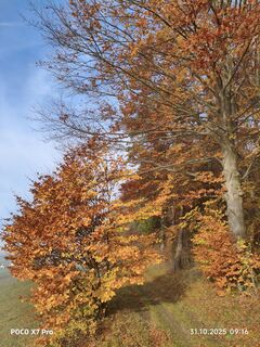 Foto de Fredi Oppel a lo largo del recorrido