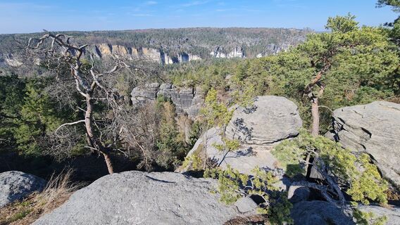 Zdjęcie z Andreas Porsche wzdłuż trasy