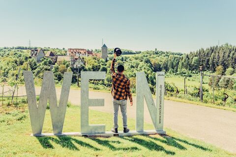 DSGVO NT Neckarwestheim Blick auf Burg Liebenstein Fotospot Wein Wandern 04
