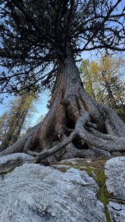 Fotografija s spletne strani ROBERTO BONIOTTI na poti