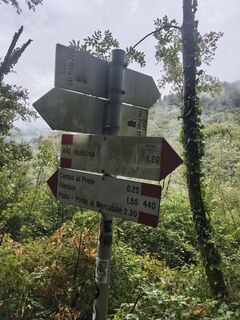 Foto de Lorenzo Martinelli a lo largo del recorrido