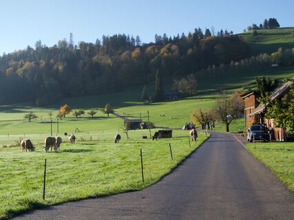 Weg Thanbode - Gibelegg Rundtour