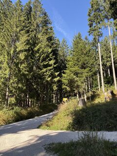 Fotografija s spletne strani Heinz Sperl na poti