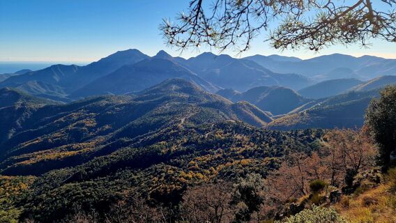 Photo de Fabrizi Mellano le long du parcours