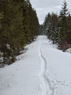 Foto von Georg Lenger entlang der Tour