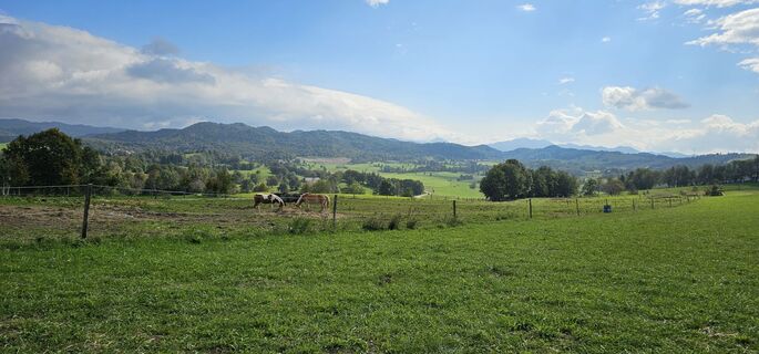 Foto von Nico entlang der Tour