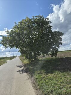 Photo de Markus Hummelbrunner le long du parcours
