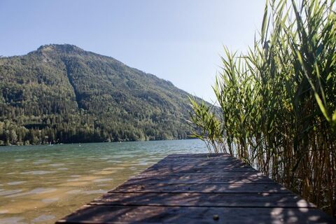 Ausblick auf den Lunzer See