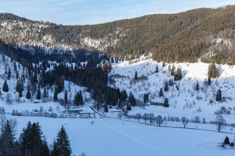 Blick auf das verschneite Menzenschwand