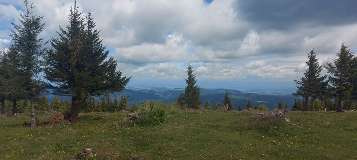 Foto van Klaus Gruber 3 langs de tour