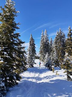 Fotografija s spletne strani v.stein na poti