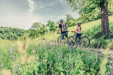 Naturparktouren HeilbronnerLand - Radfahren im Naturpark Schwäbisch-Fränkischer Wald | Sauklinge Löwenstein