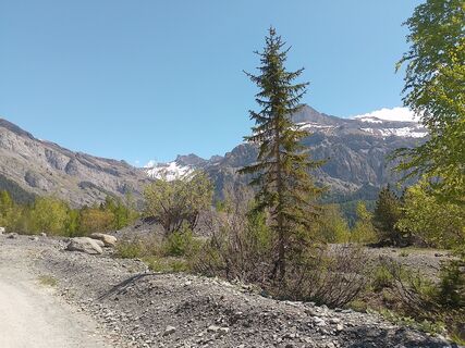 Zdjęcie z Jean-Pierre Sion wzdłuż trasy