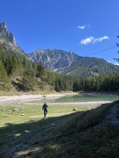 Foto de Möhre a lo largo del recorrido