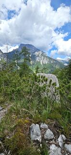 Photo de Thomas Reickersdorfer Reicki le long du parcours