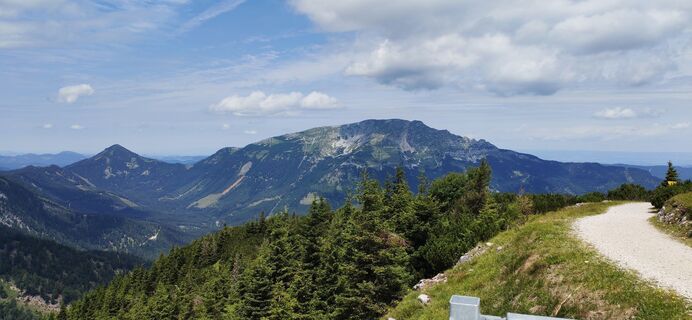 Fotografija s spletne strani Gessi na poti