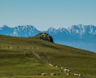 Großer Sauofen mit Blick auf Steiner Alpen