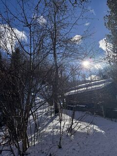 Fotografija s spletne strani Paudatiger na poti