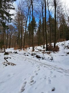 Fotografija s spletne strani Schwartzhox na poti