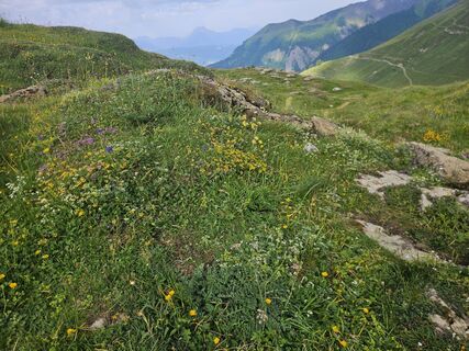Fotografia z Pieter Vanlersberghe na trase