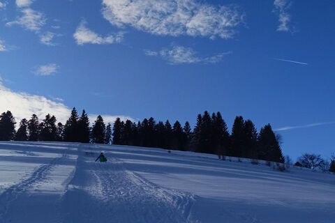 Todtmoos Rodelwanderung mit Hochkopfblick 6