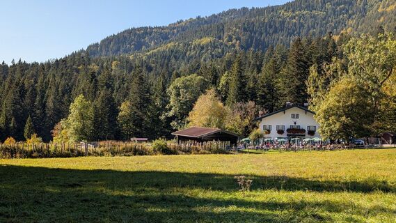 Foto von Pfefferam entlang der Tour