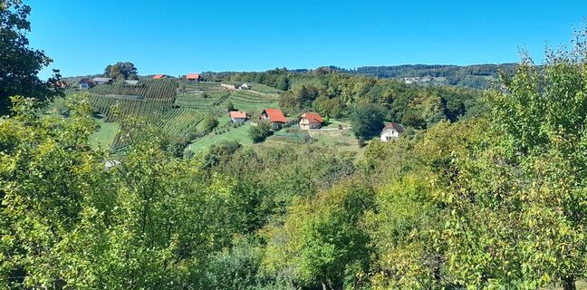 Zdjęcie z Milena Dragoš wzdłuż trasy