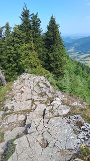 Fotografia z Enkidu55 na trase