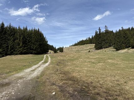 Fotografia z Similaun na trase
