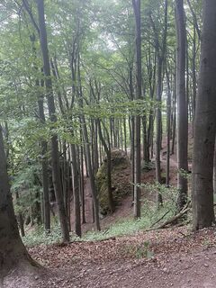 Fotografia z Lili Bártfai na trase