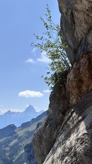 Foto von Mountain Cat ? ⛰️ entlang der Tour