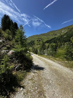 Foto von Norbert entlang der Tour