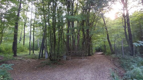 Schlösslwald