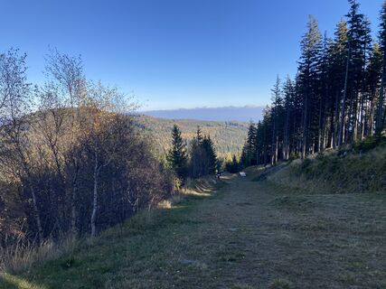 Foto von Michael Fehlmann entlang der Tour
