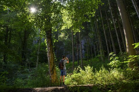 Zauberhaft mystisches Hönnetal