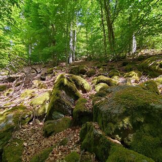 Photo de Marek Pędziwiatr le long du parcours