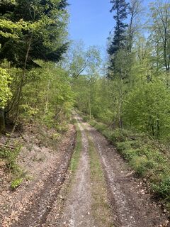 Foto von Cathy Wiseler entlang der Tour