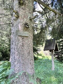 Foto von Rita Szloboda entlang der Tour