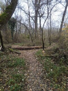 Zdjęcie z Wanderkatze wzdłuż trasy