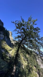Zdjęcie z Mountain Cat ? ⛰️ wzdłuż trasy