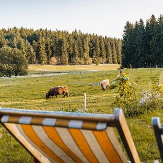am Kleinen Vorwerk