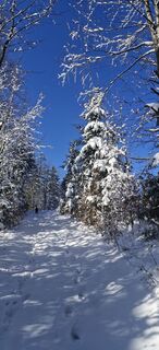 Photo de Heidi L le long du parcours